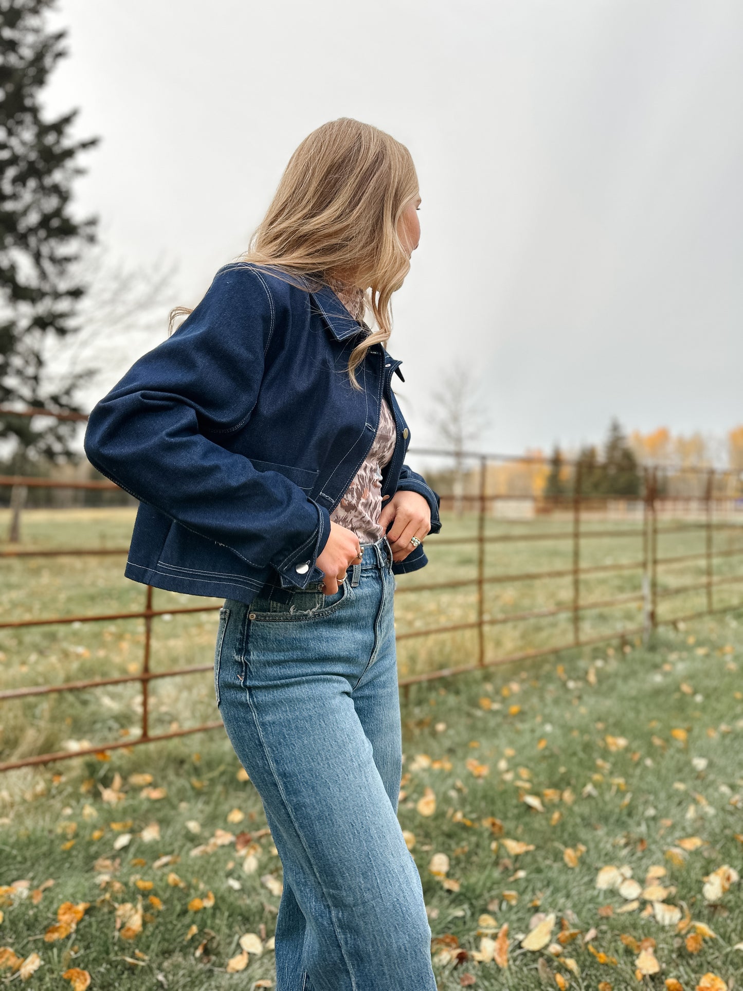 Ashley Denim Jacket