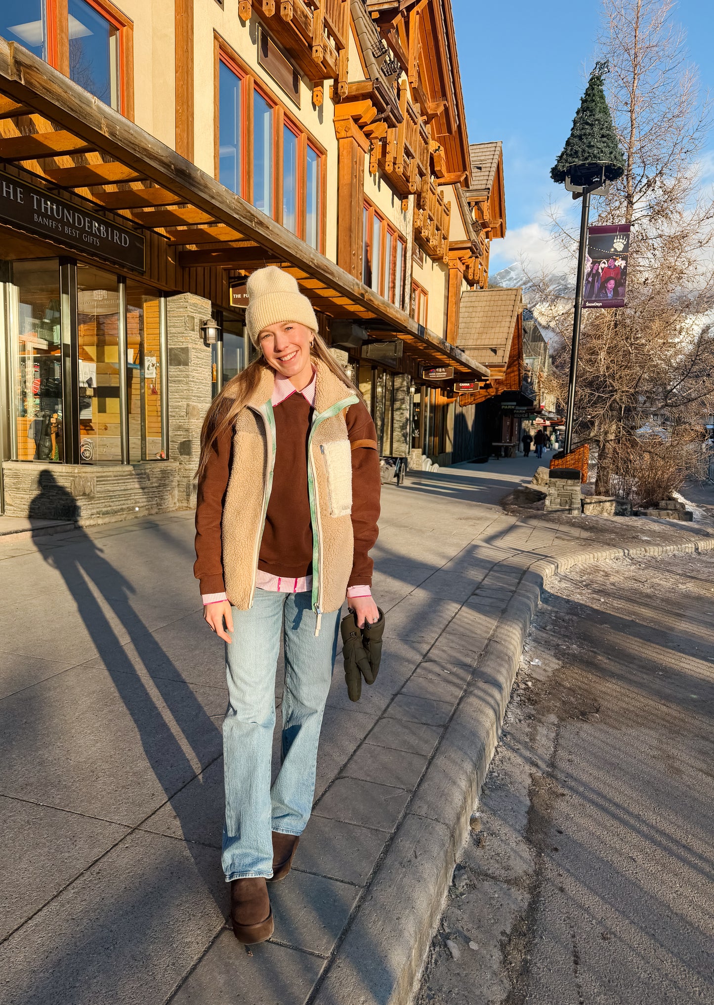 The Alpine Vest - Large