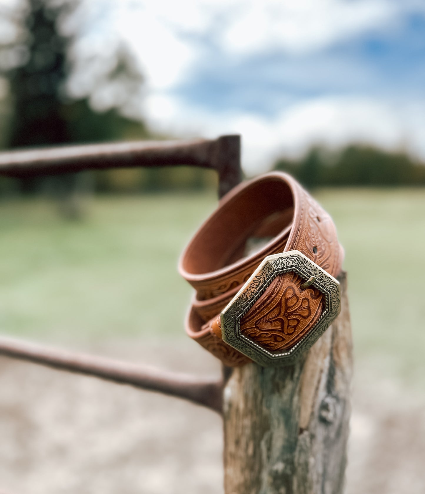 The Wyatt Western Belt