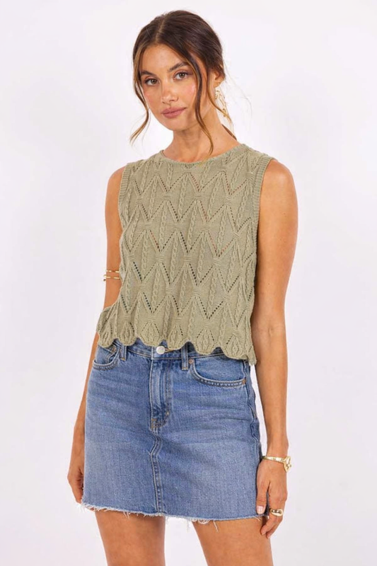 The Succulent Knit Top